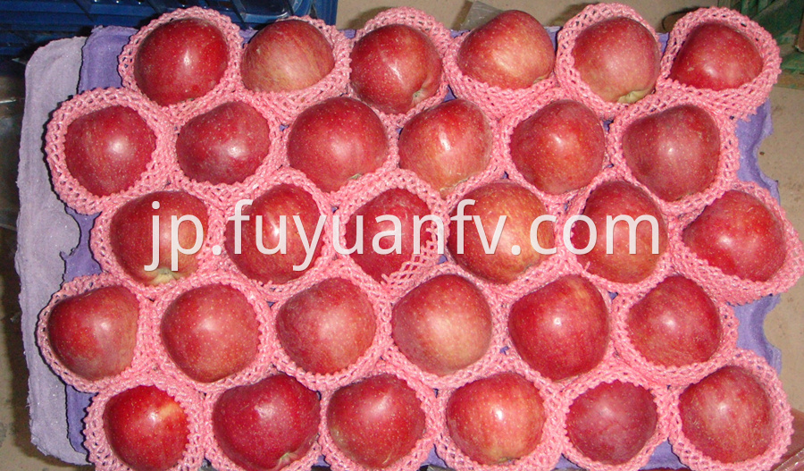 Red Star Apple